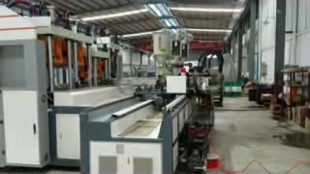 Automatic Static Injection Molding Machine for Making Shoe Sole in TPU/TR/PVC/TPR Material